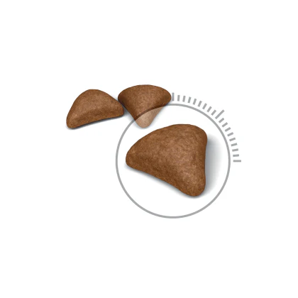 Royal Canin Hairball Care Adult Dry Cat Food - Image 2