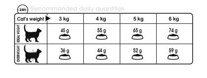 Royal Canin Hairball Care Adult Dry Cat Food - Image 3