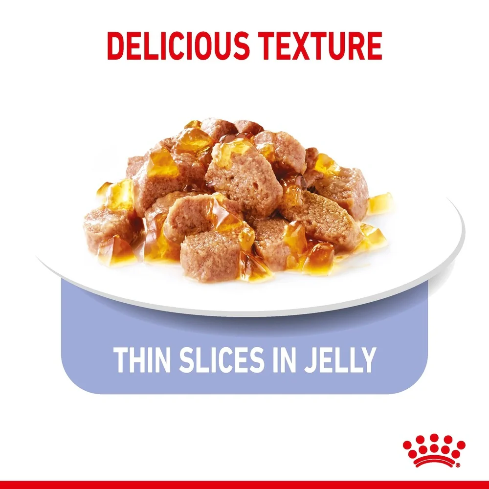 Royal Canin Appetite Control Jelly Wet Cat Food 85g - Image 5