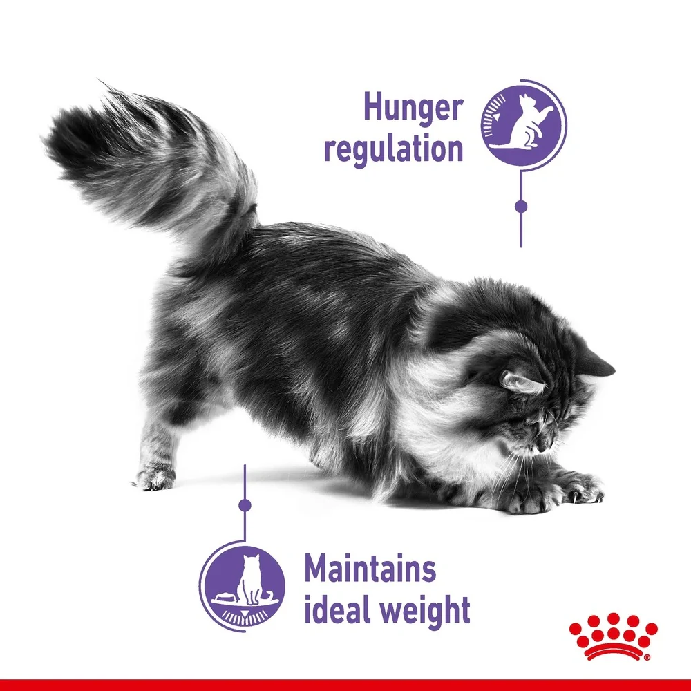 Royal Canin Appetite Control Jelly Wet Cat Food 85g - Image 4