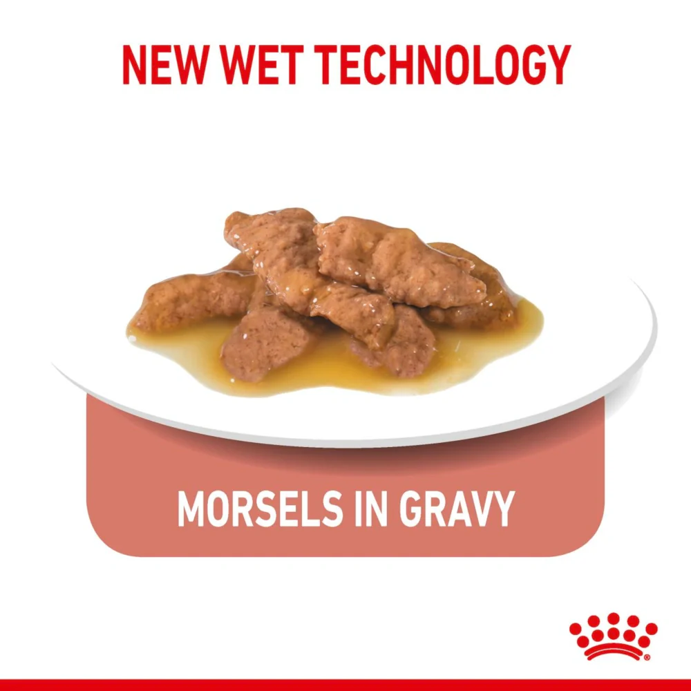 Royal Canin Indoor Sterilised in Gravy Wet Cat Food 85g Pouch - Image 4