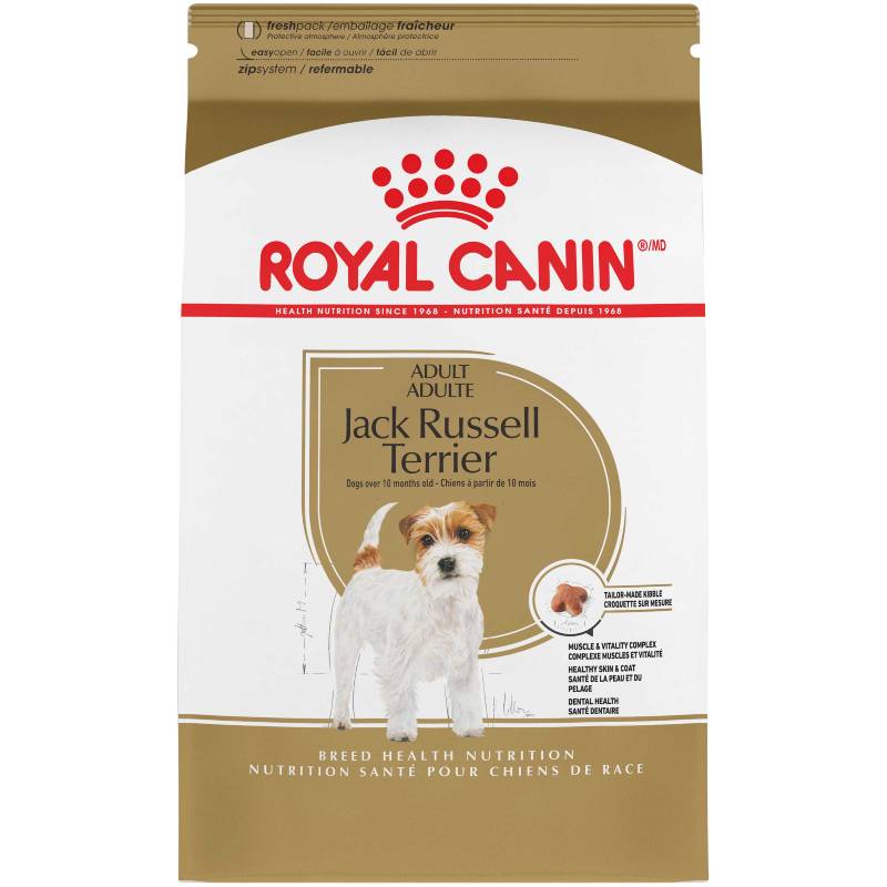 Royal Canin Adult Jack Russel Terrier
