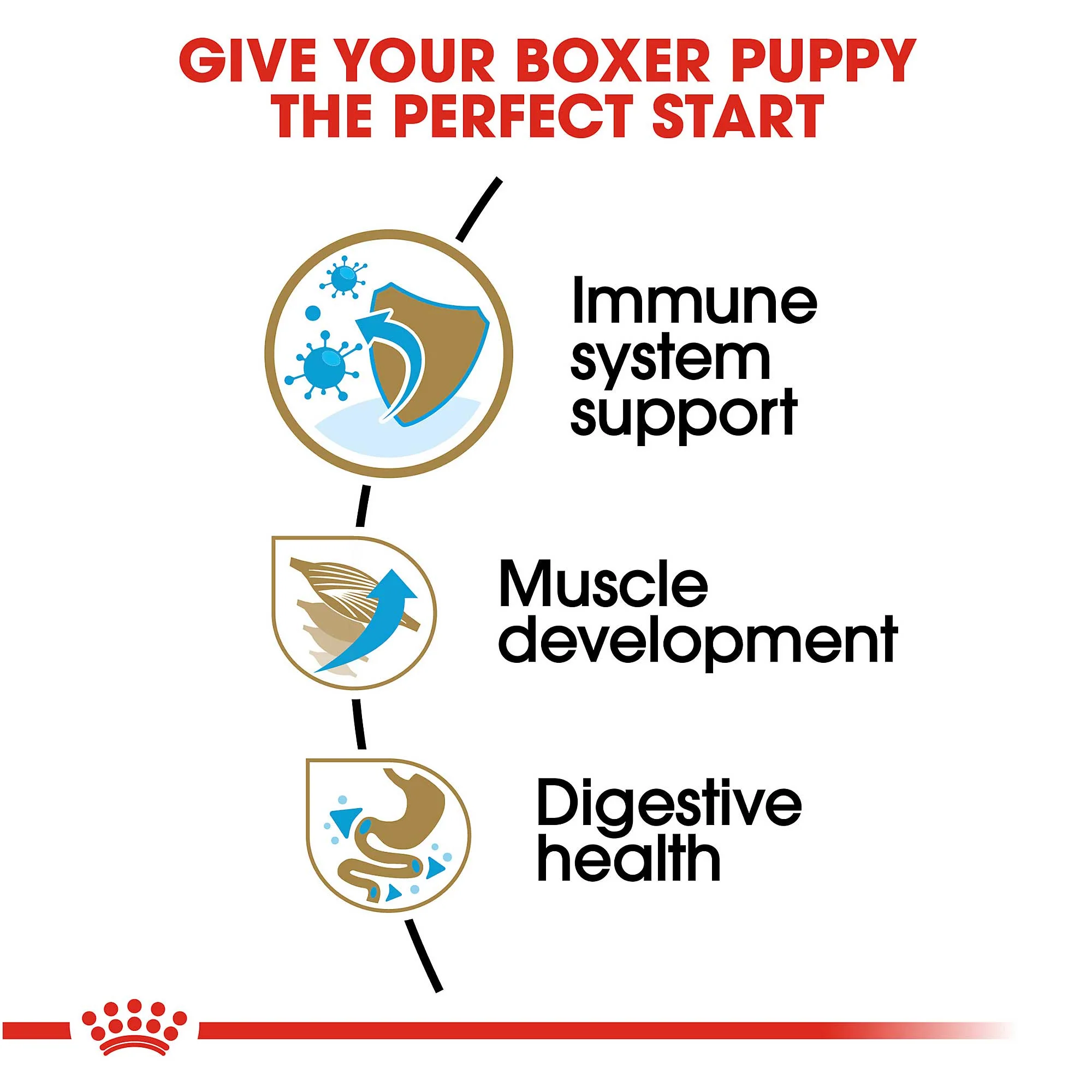 Royal Canin Junior Boxer Dog Food - Image 5