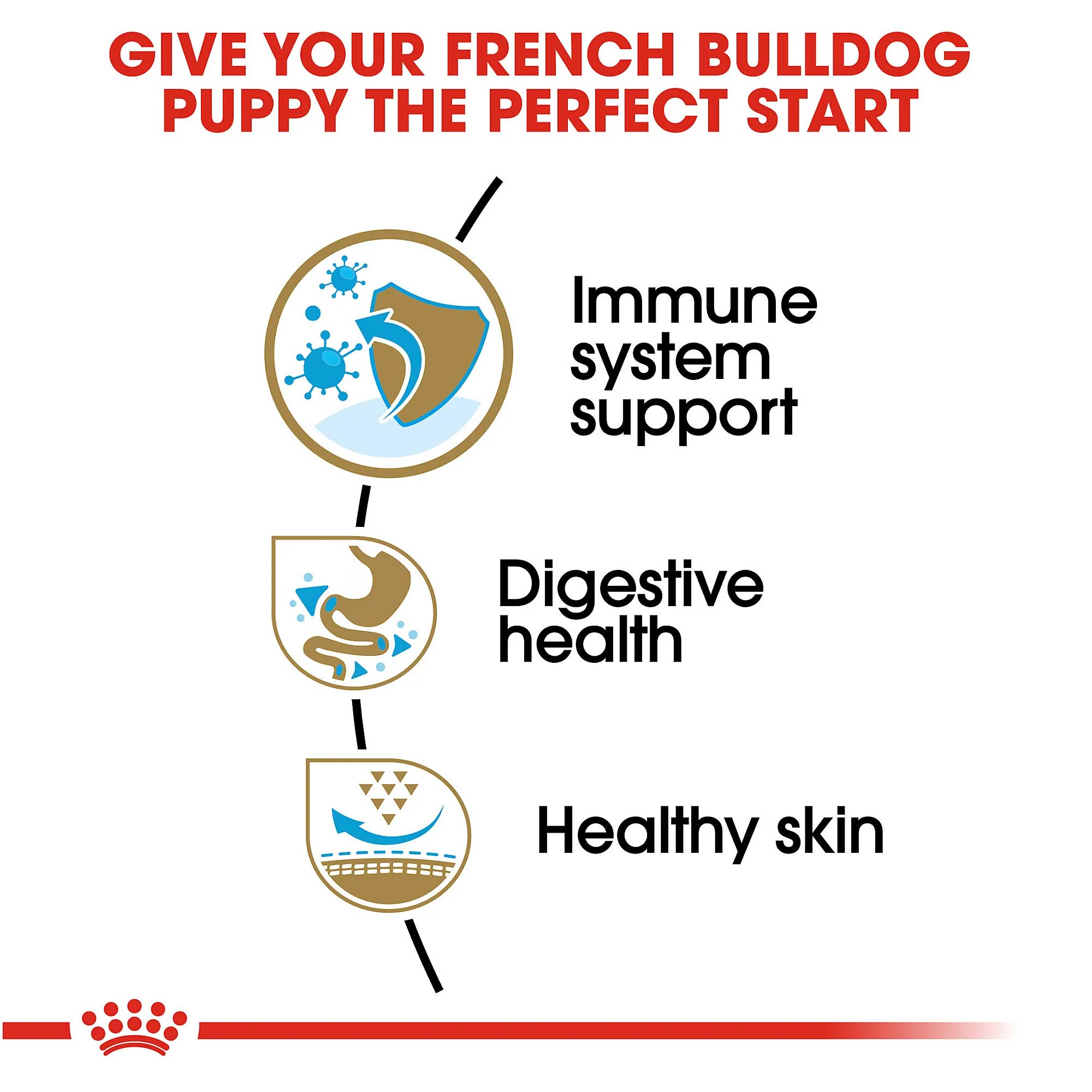 Royal Canin Junior French Bulldog - Image 3