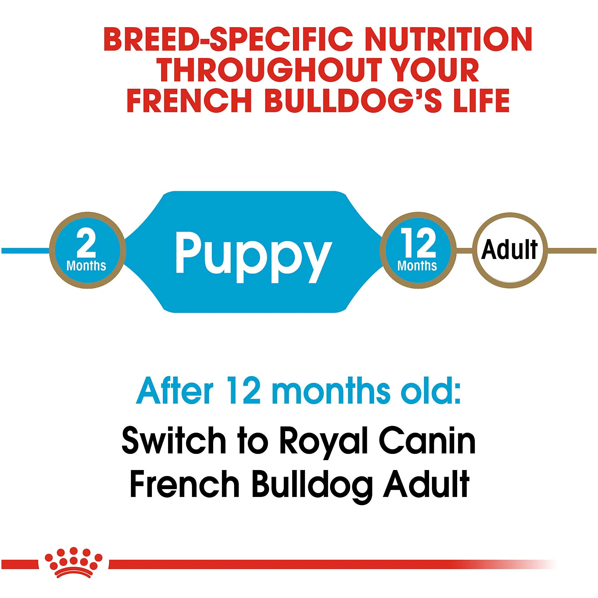 Royal Canin Junior French Bulldog - Image 5