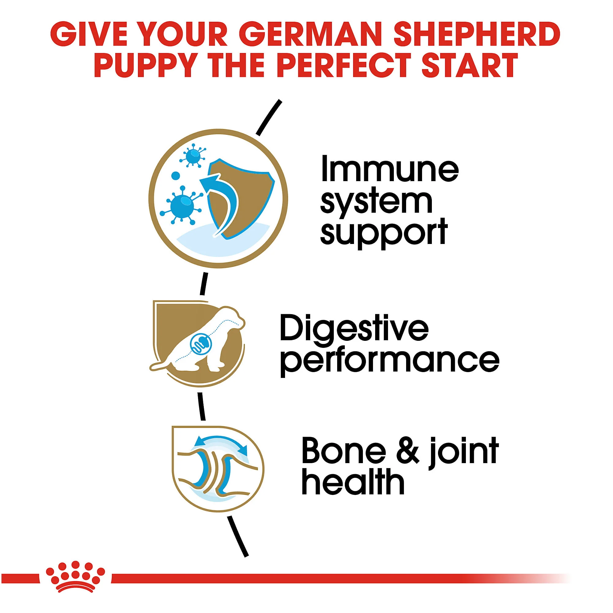 Royal Canin Junior German Shepherd - Image 5
