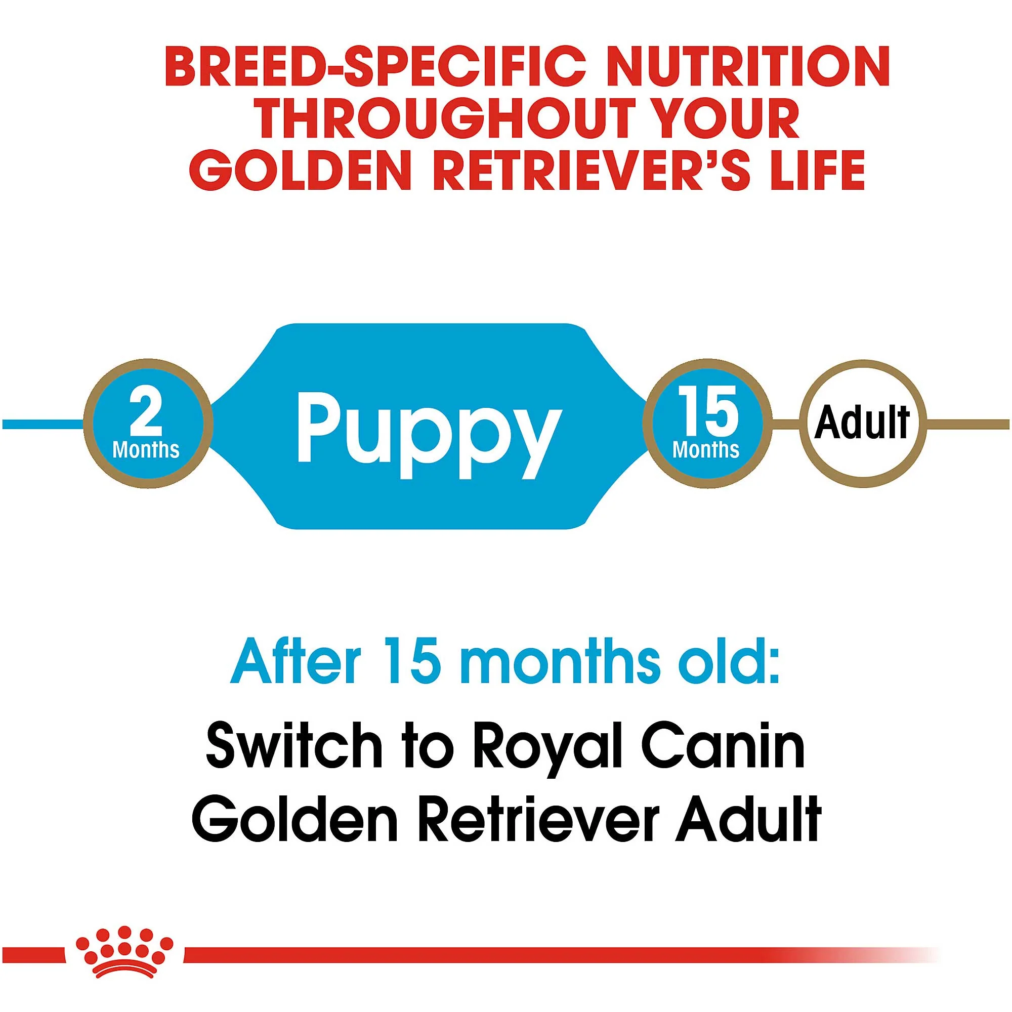 Royal Canin Junior Golden Retriever - Image 4