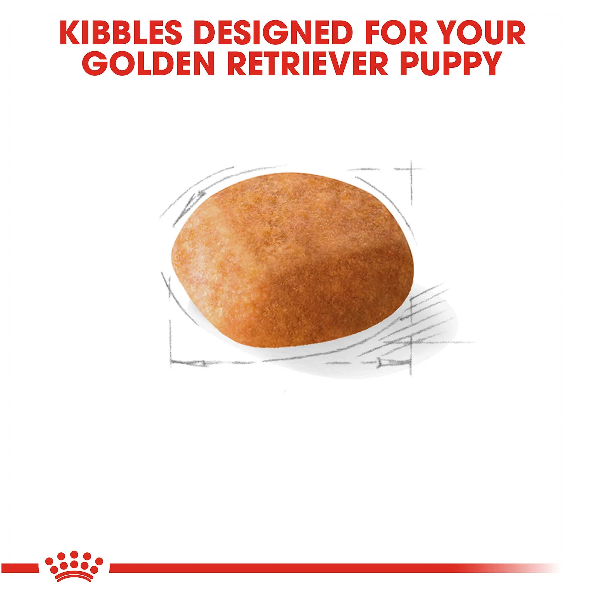 Royal Canin Junior Golden Retriever - Image 5