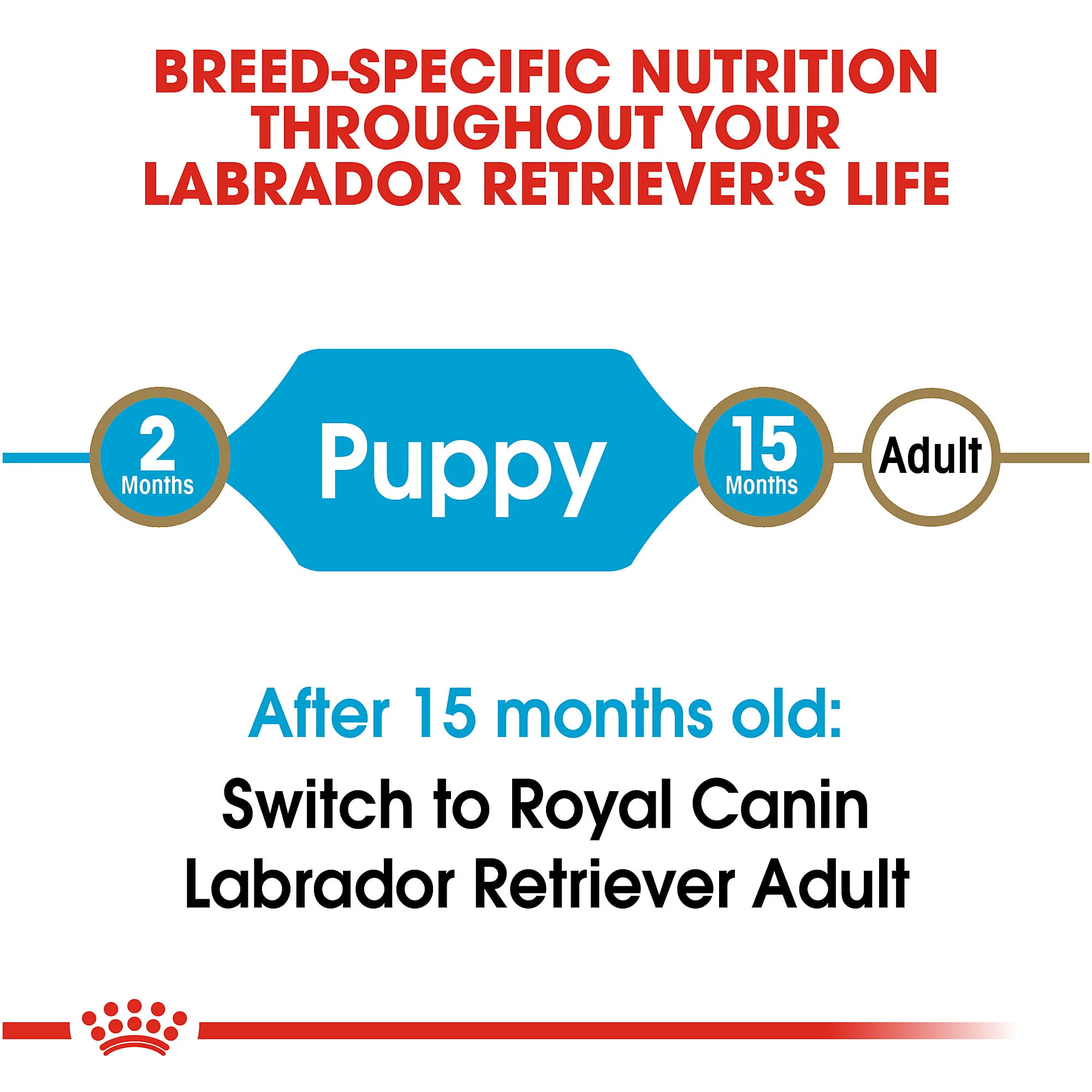 Royal Canin Junior Labrador Retriever - Image 4