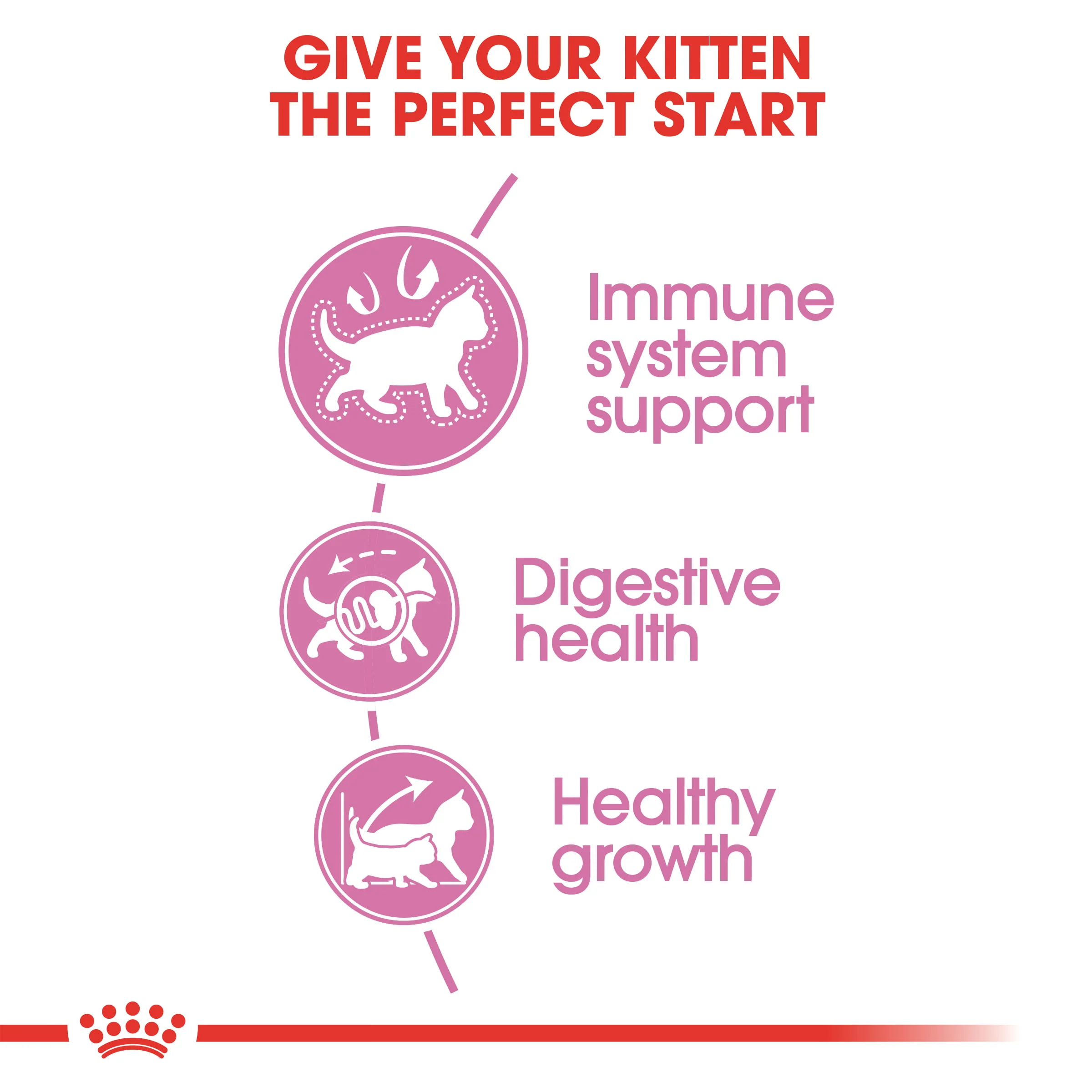 Royal Canin Kitten Dry Cat Food - Image 3