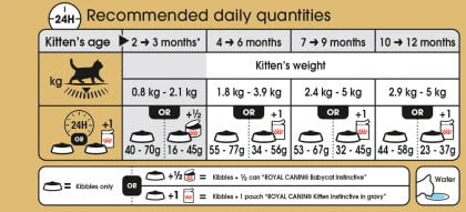 Royal Canin British Shorthair Kitten Dry Cat Food - Image 3