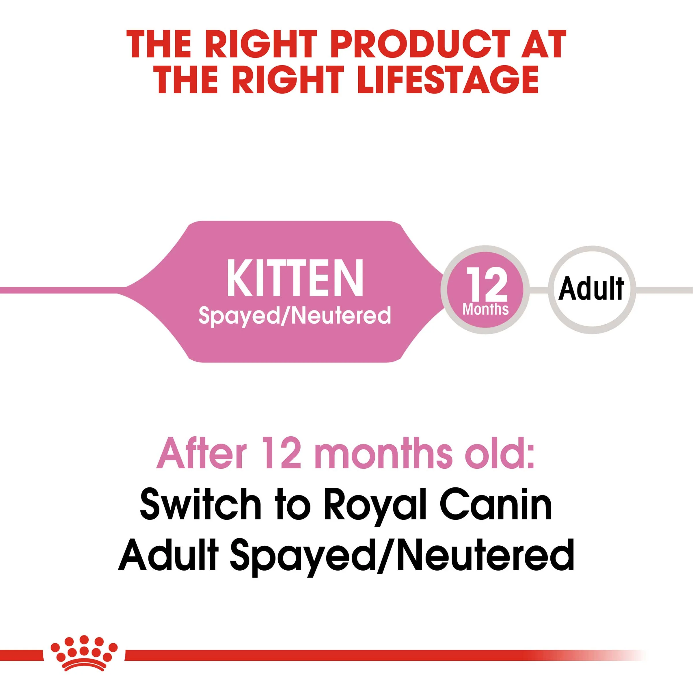 Royal Canin Kitten Sterilised Dry Cat Food - Image 3