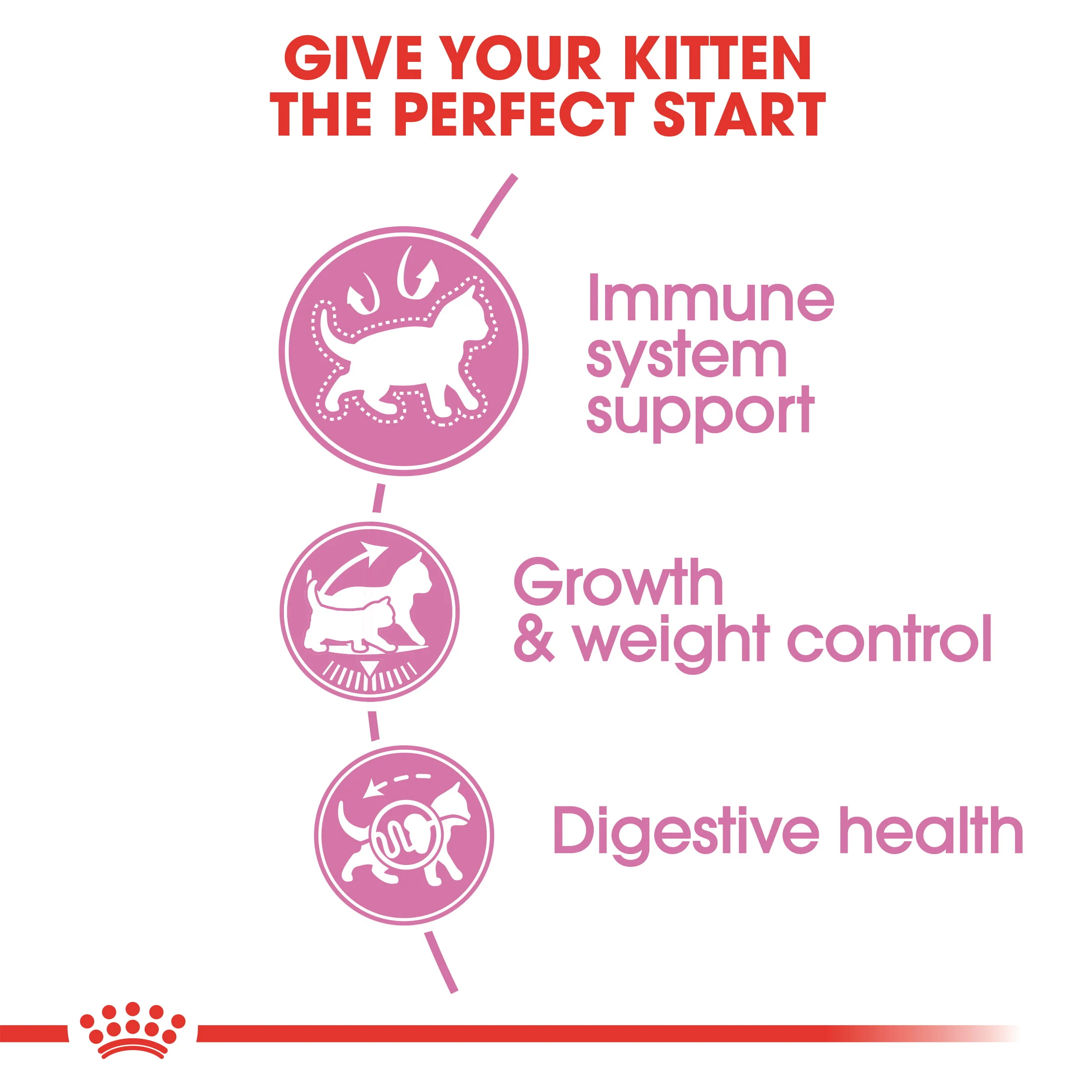 Royal Canin Kitten Sterilised Dry Cat Food - Image 5