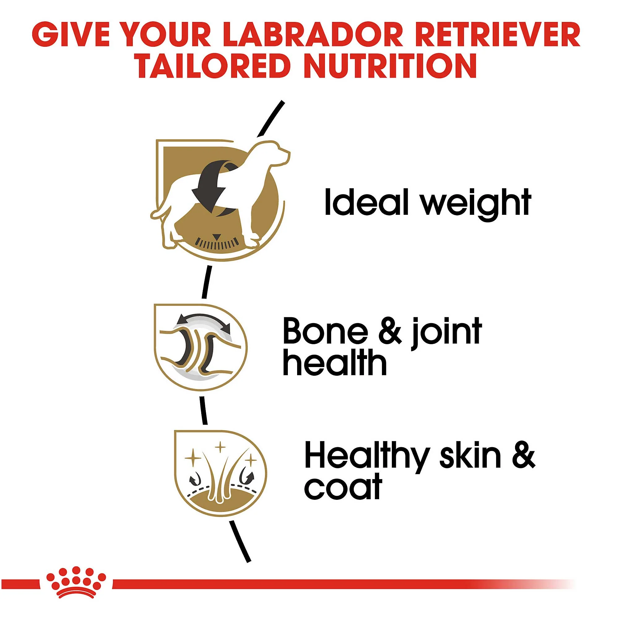 Royal Canin Adult Labrador Retriever - Image 3