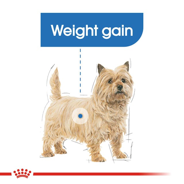 Royal Canin Light Weight Care 85g Pouch - Image 2