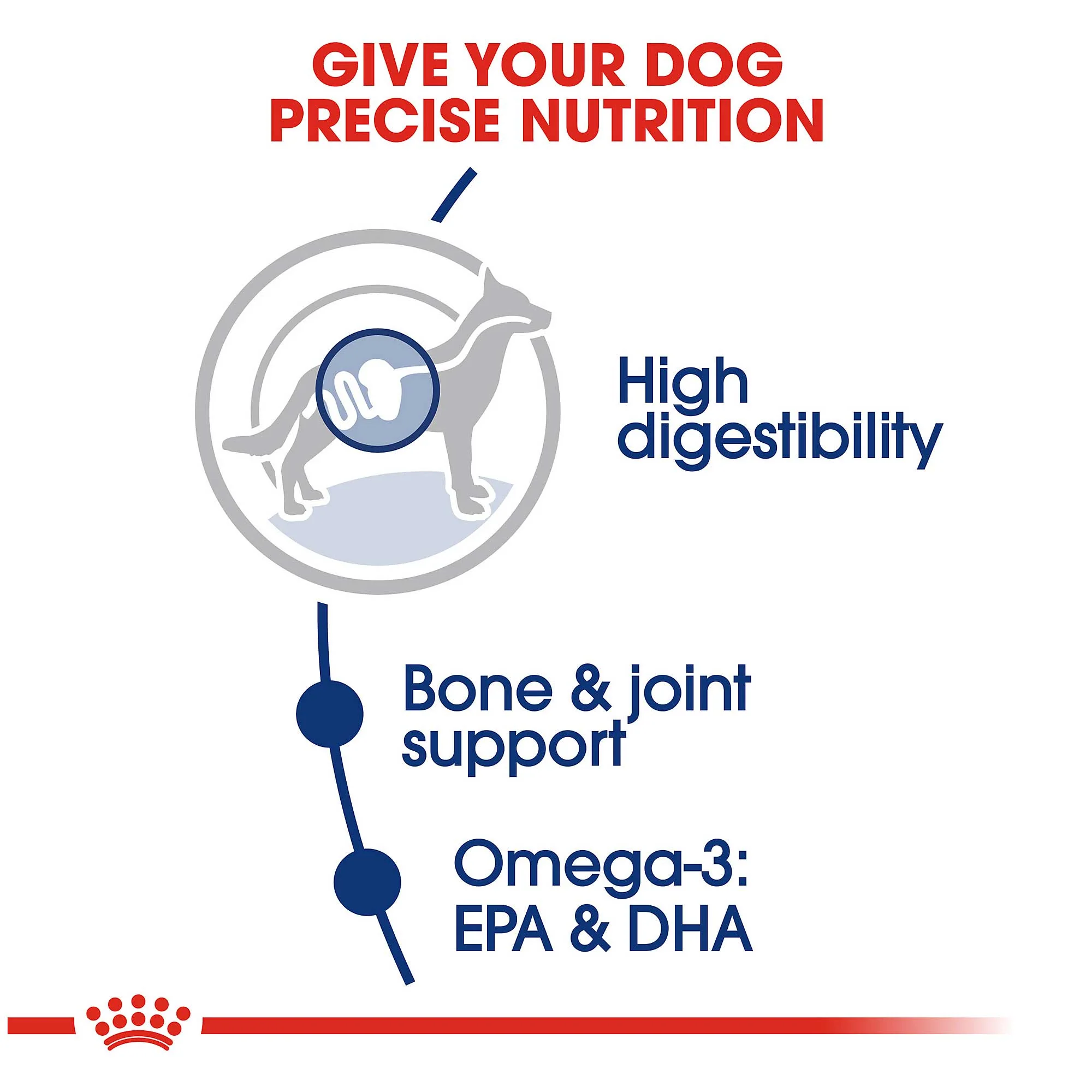 Royal Canin Maxi Adult Dog Food - Image 3