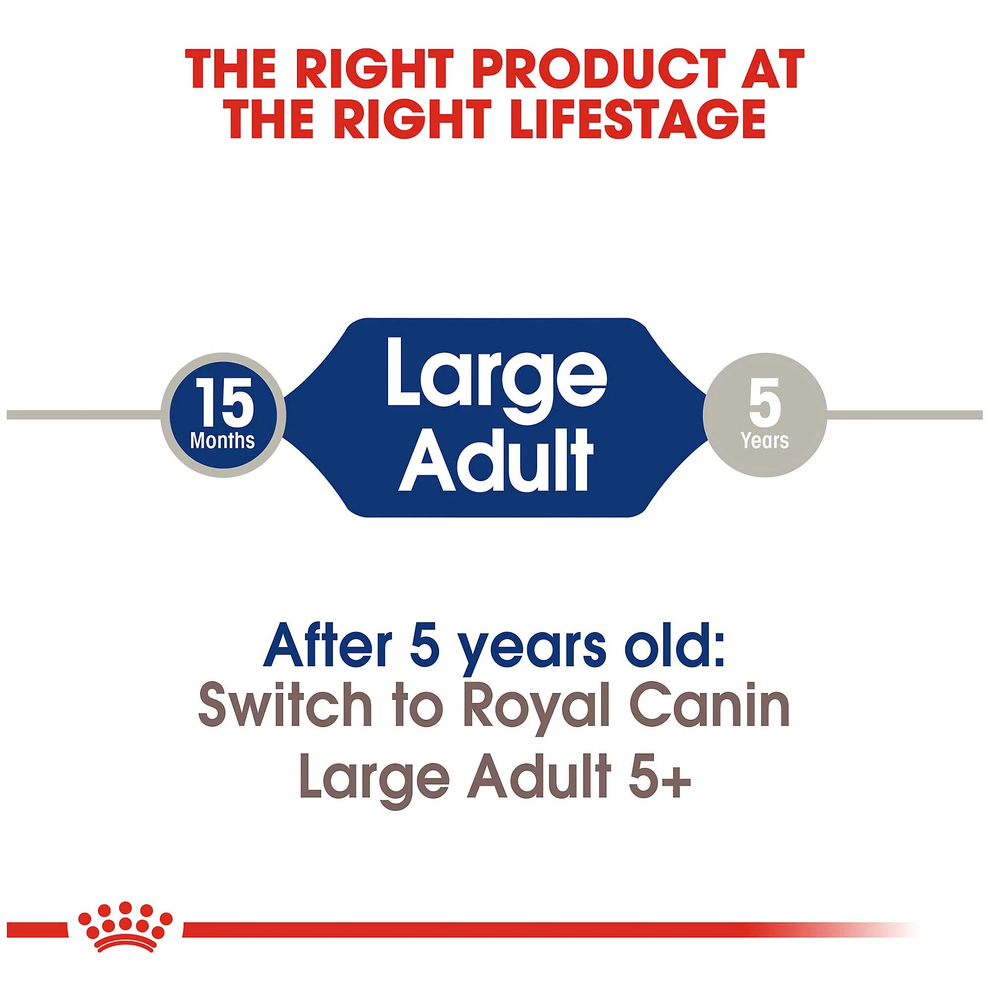 Royal Canin Maxi Adult Dog Food - Image 4