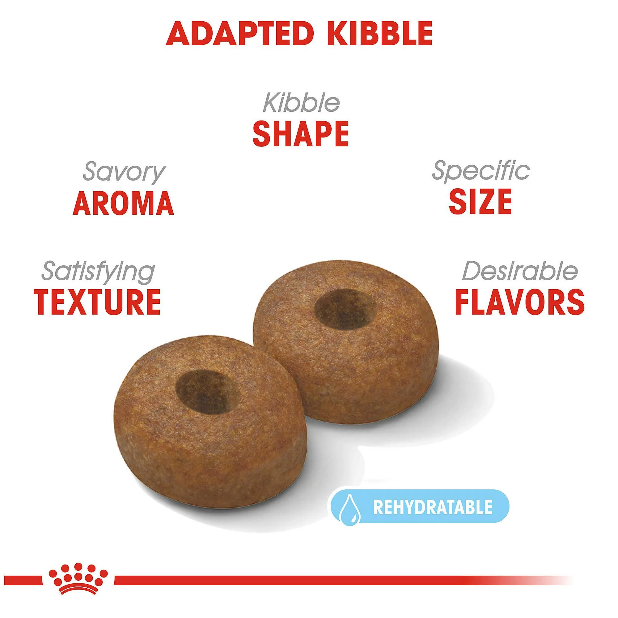 Royal Canin Maxi Ageing 8+ Dog Food - Image 2