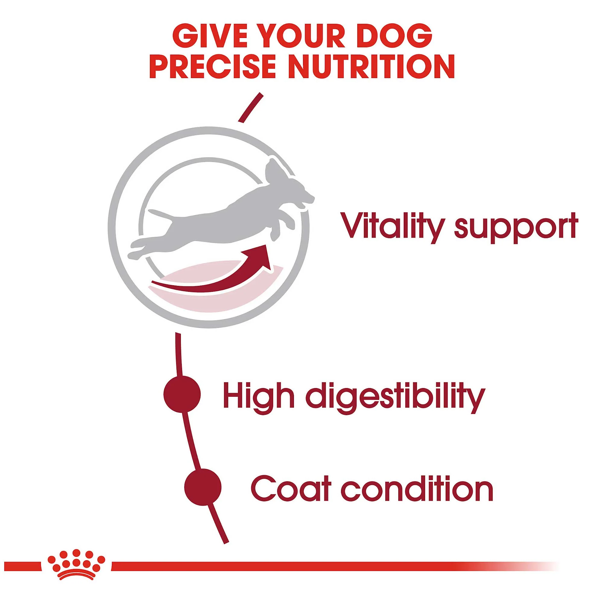 Royal Canin Medium Adult 7+ Dog Food - Image 4