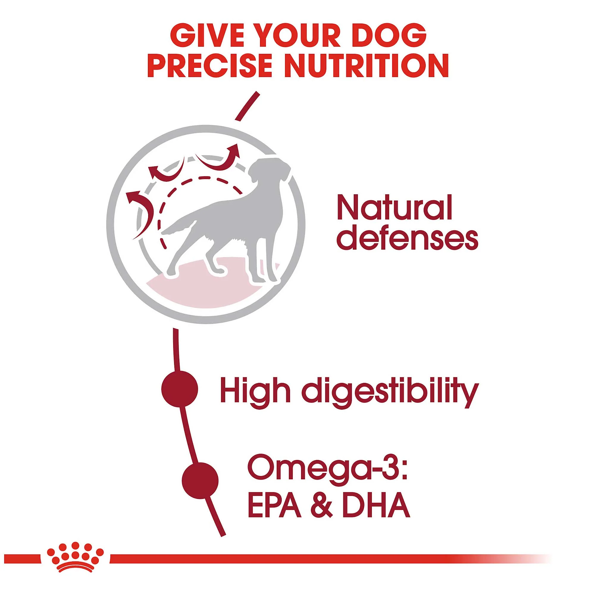 Royal Canin Medium Adult Dog Food - Image 3