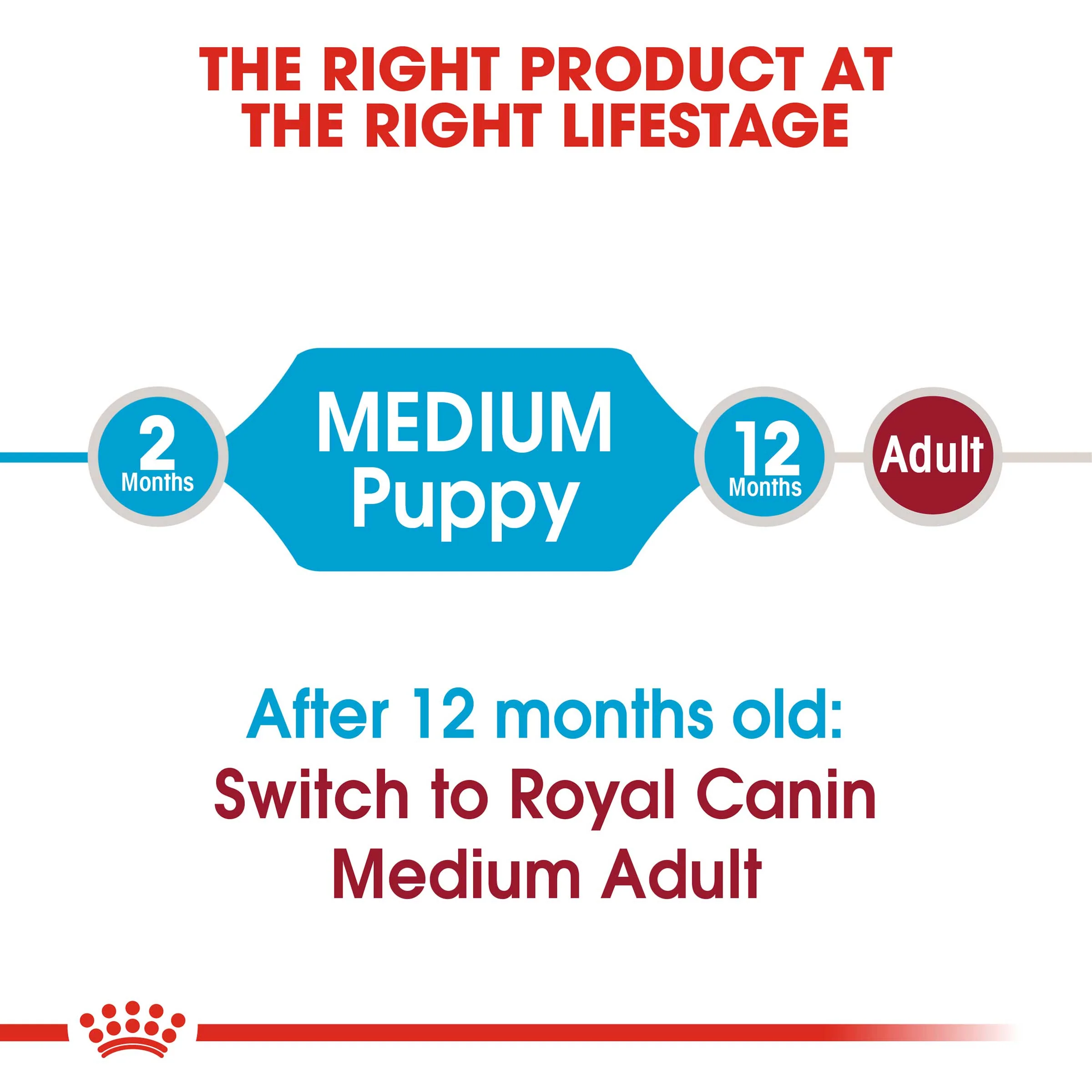 Royal Canin Medium Puppy/Junior Dog Food - Image 3