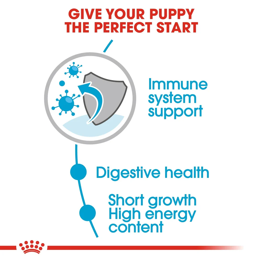 Royal Canin Medium Puppy Chunks In Gravy Pouch 140g - Image 3