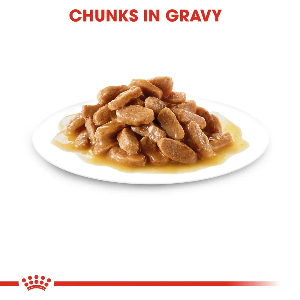 Royal Canin Medium Puppy Chunks In Gravy Pouch 140g - Image 5