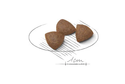 Royal Canin Medium Starter - Mother & Babydog - Image 3
