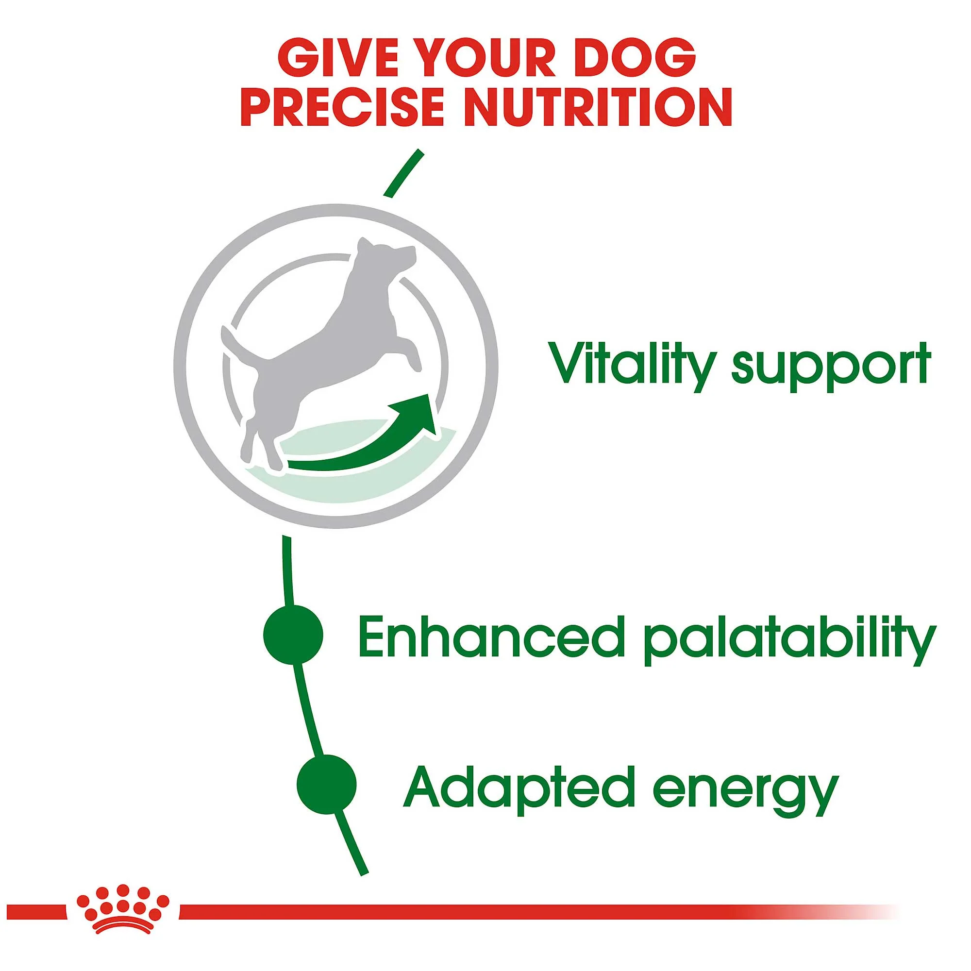 Royal Canin Mini 8+ Adult Dog Food - Image 3