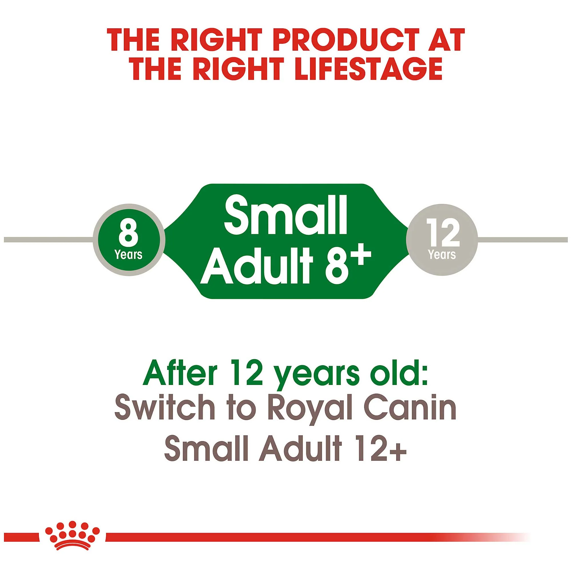 Royal Canin Mini 8+ Adult Dog Food - Image 5