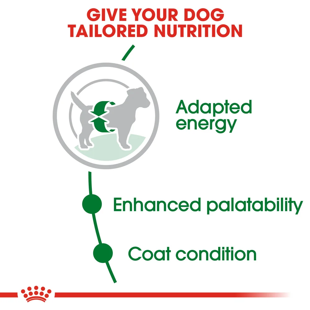 Royal Canin Mini Adult - Image 3