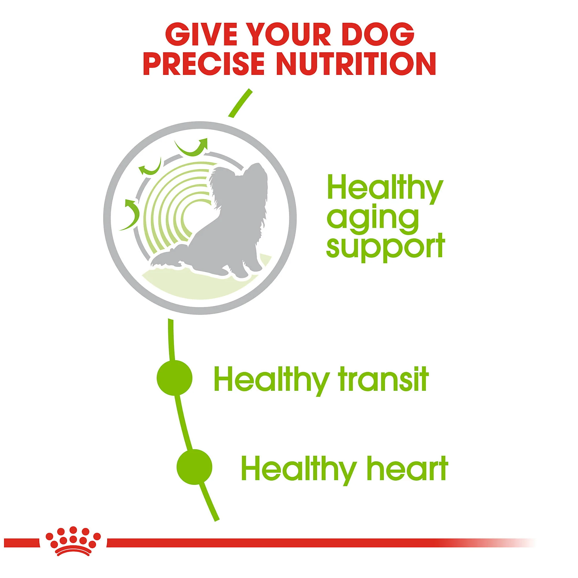 Royal Canin Mini Ageing 12+ years 1.5kg - Image 5