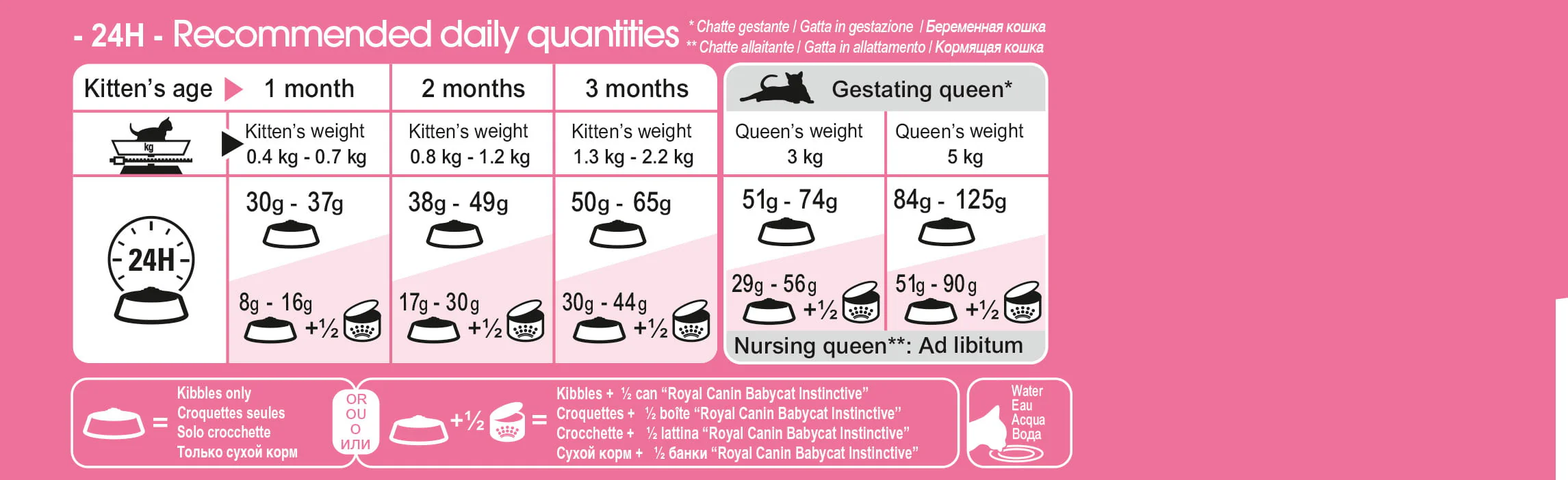 Royal Canin Mother and Babycat Dry Food - Image 3
