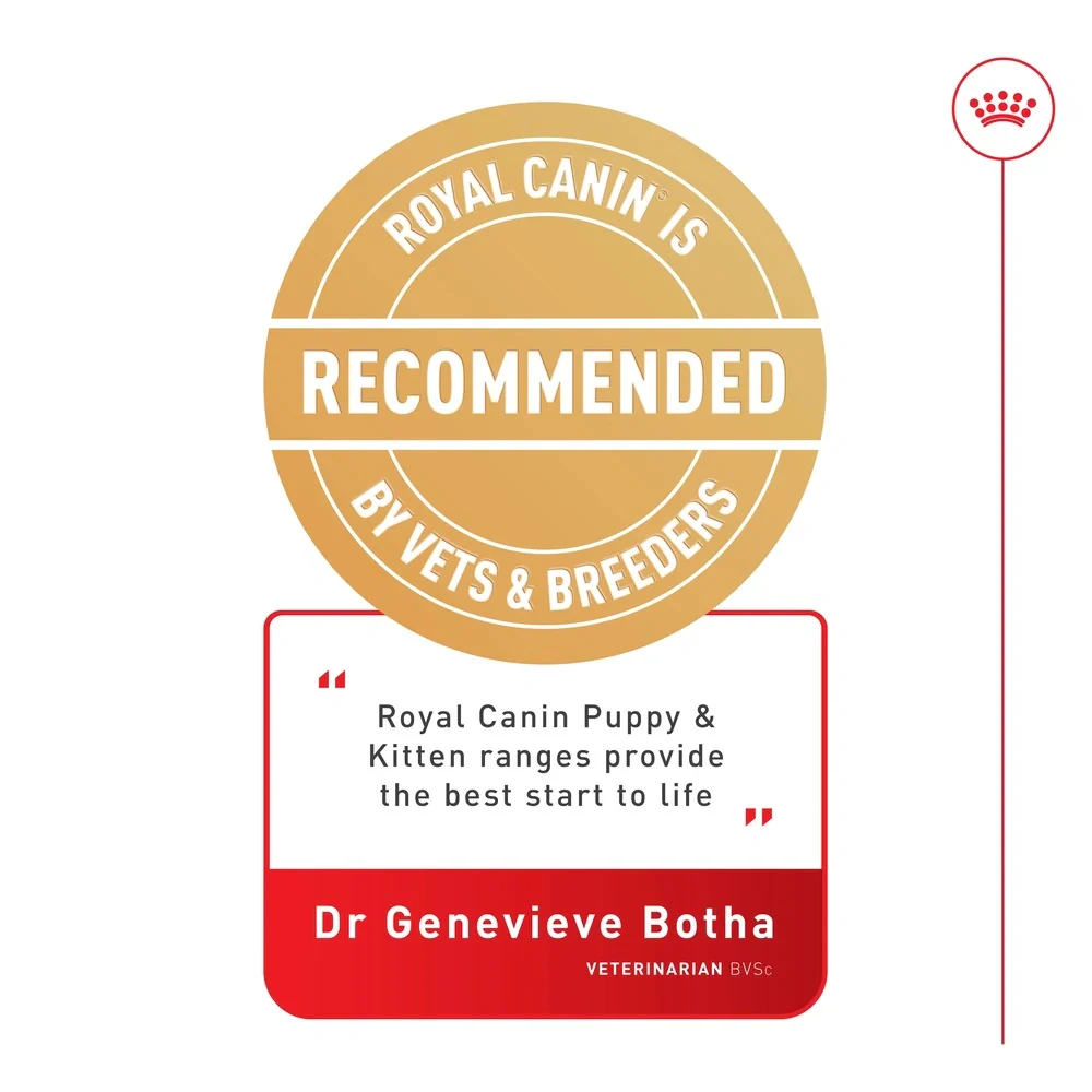 Royal Canin Mother & Baby Cat Ultra Soft Mousse Wet Food, 195g - Image 3