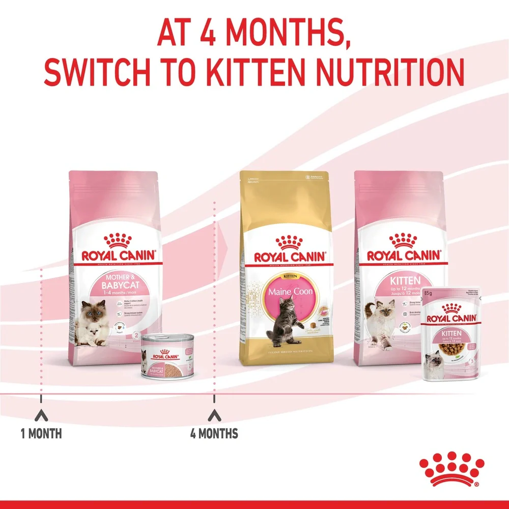 Royal Canin Mother & Baby Cat Ultra Soft Mousse Wet Food, 195g - Image 6