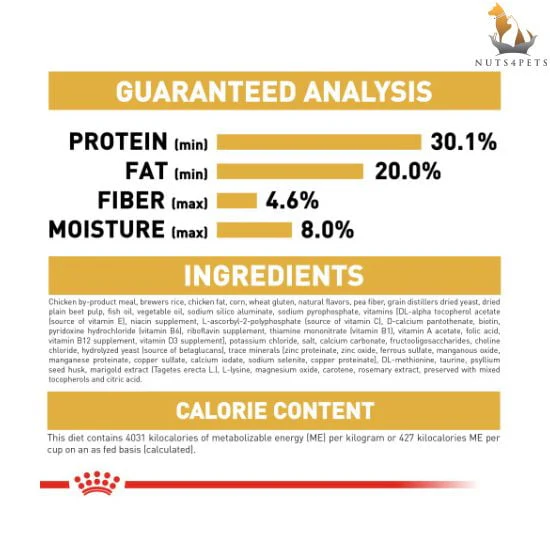 Royal Canin Persian Kitten Dry Cat Food - Image 4