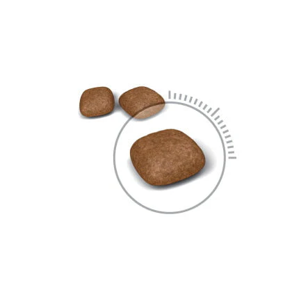 Royal Canin Urinary Care Dry Cat Food - Image 3