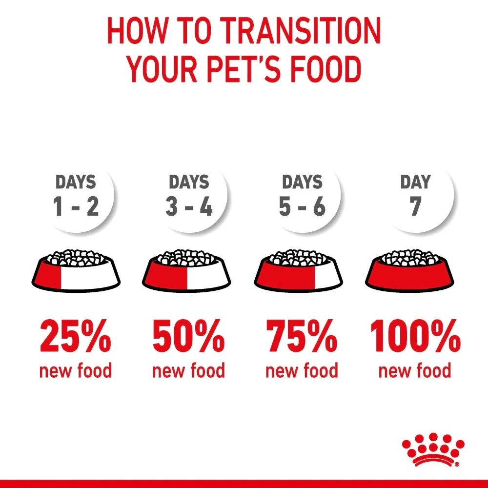 Royal Canin Appetite Control Care in Gravy Wet Cat Food 85g - Image 8