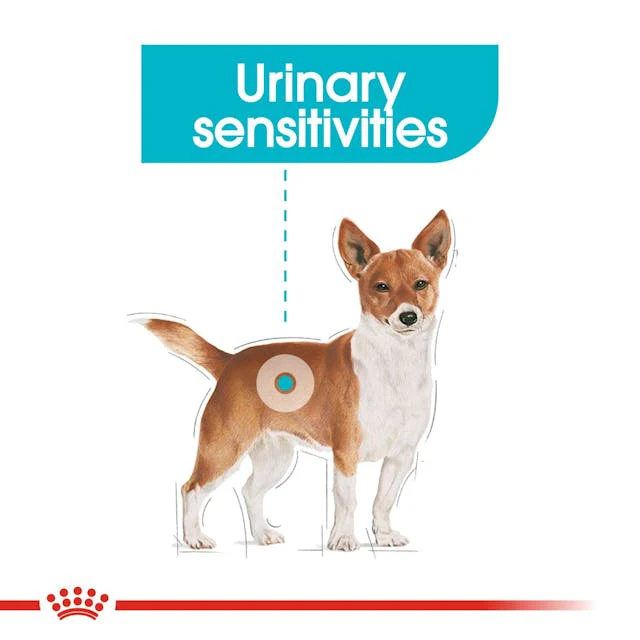 Royal Canin Urinary Care Loaf Dog 85g Pouch - Image 2