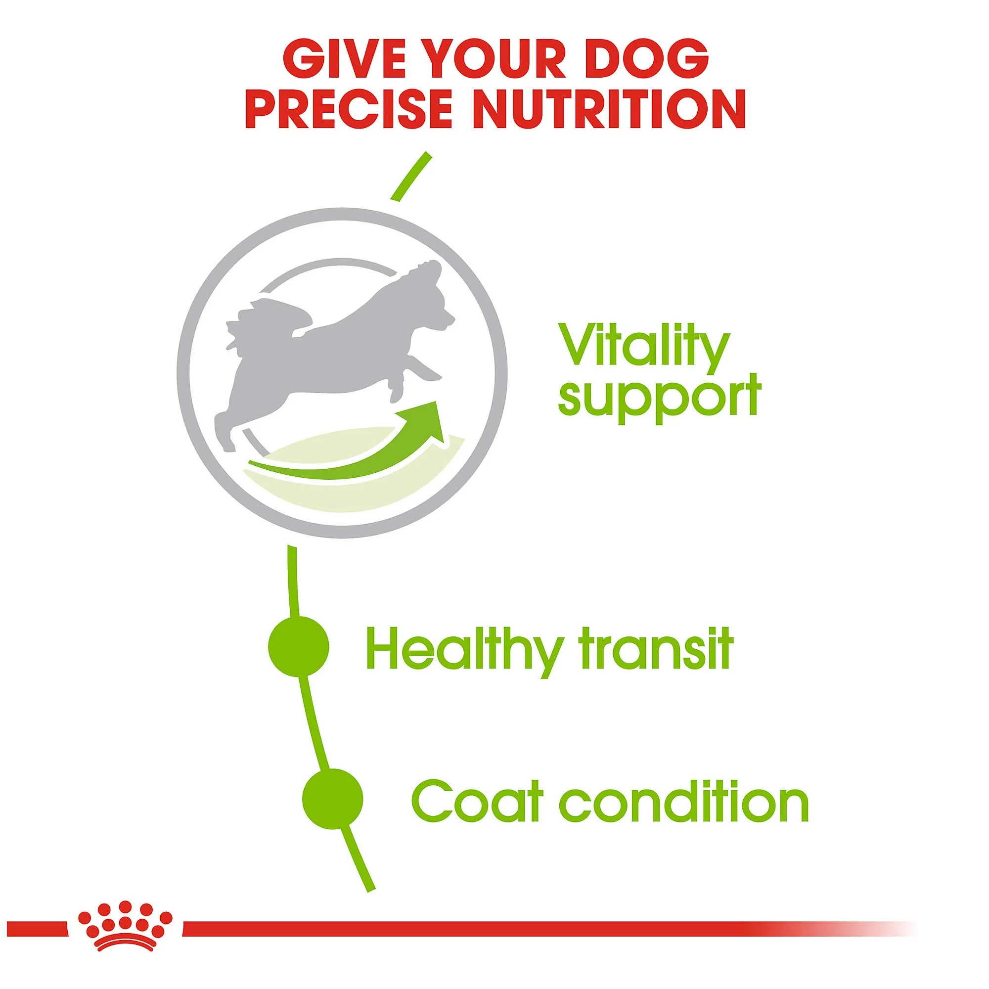 Royal Canin X-Small Adult 8+ Dog Food 1.5kg - Image 4