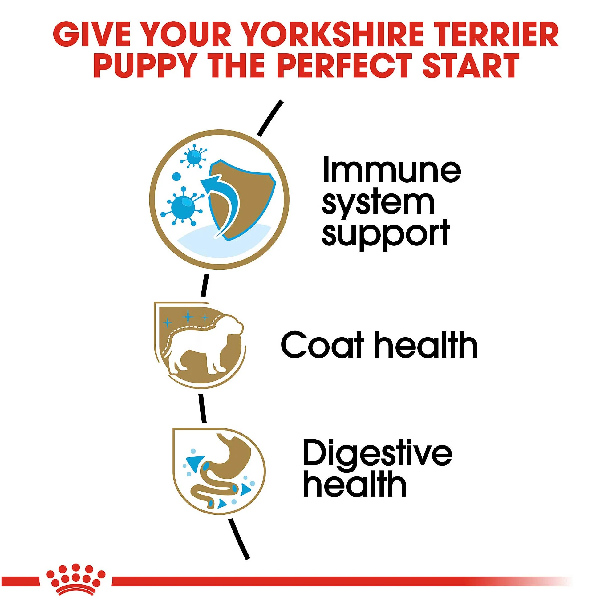 Royal Canin Junior Yorkshire Terrier 1.5kg - Image 2