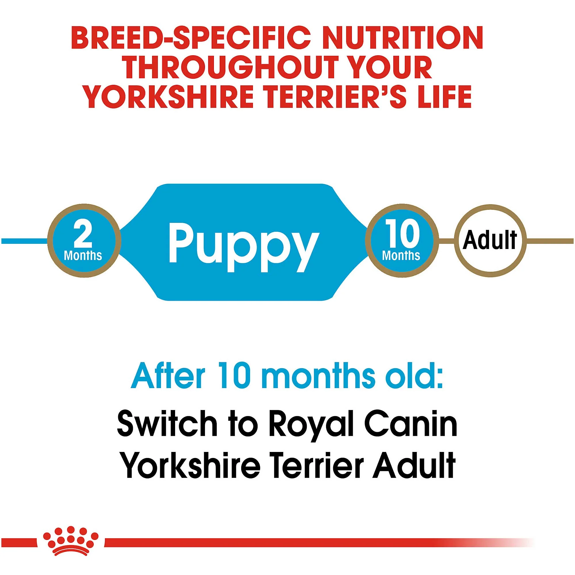 Royal Canin Junior Yorkshire Terrier 1.5kg - Image 5