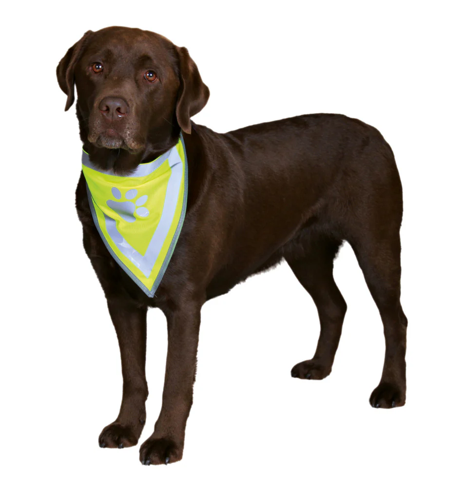 Safety Neckerchief For Dogs