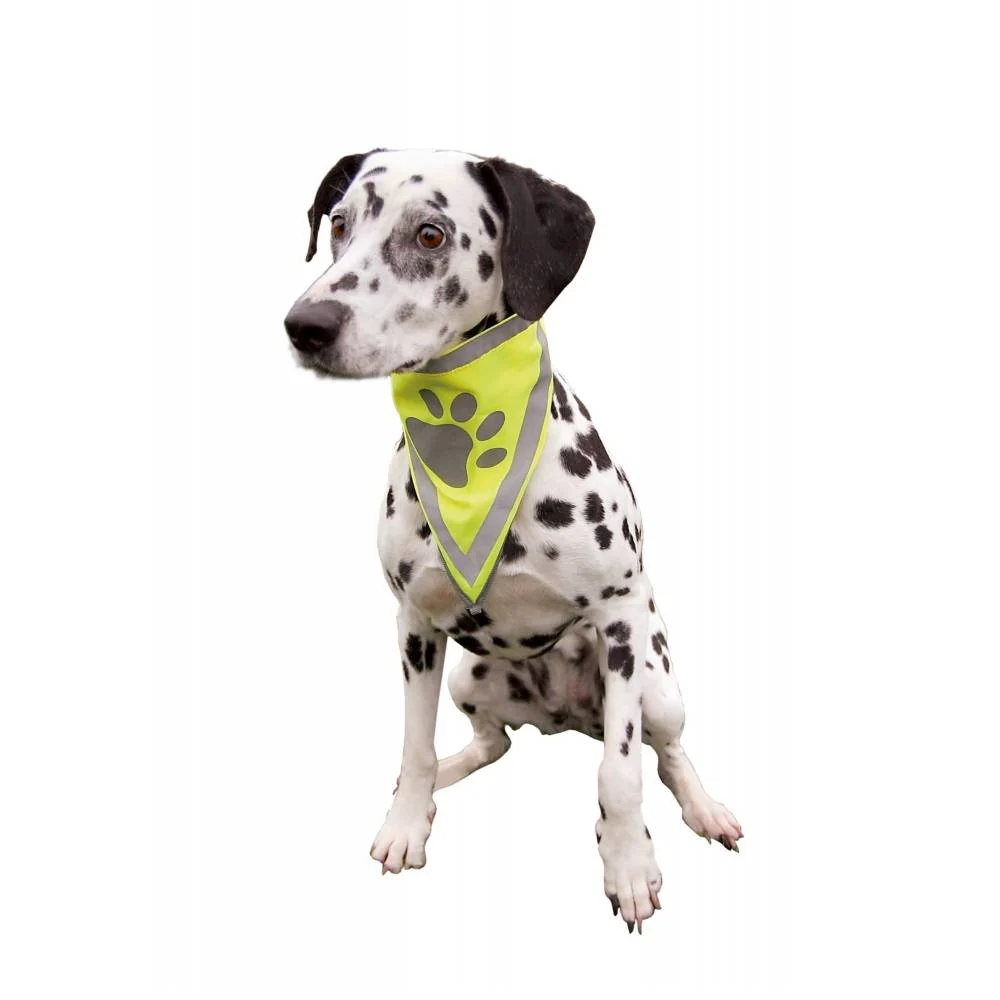 Safety Neckerchief For Dogs - Image 2