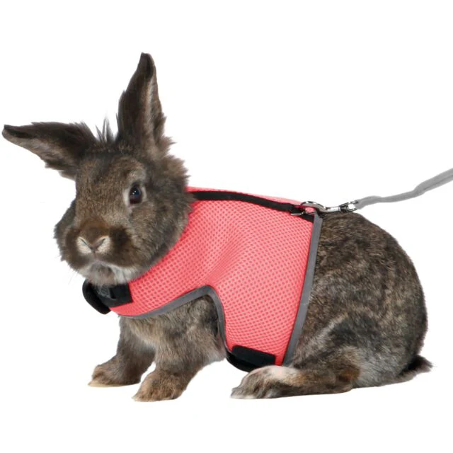 Soft Harness with Leash For Small Pets - Image 2