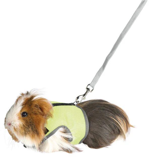 Soft Harness with Leash For Small Pets - Image 3