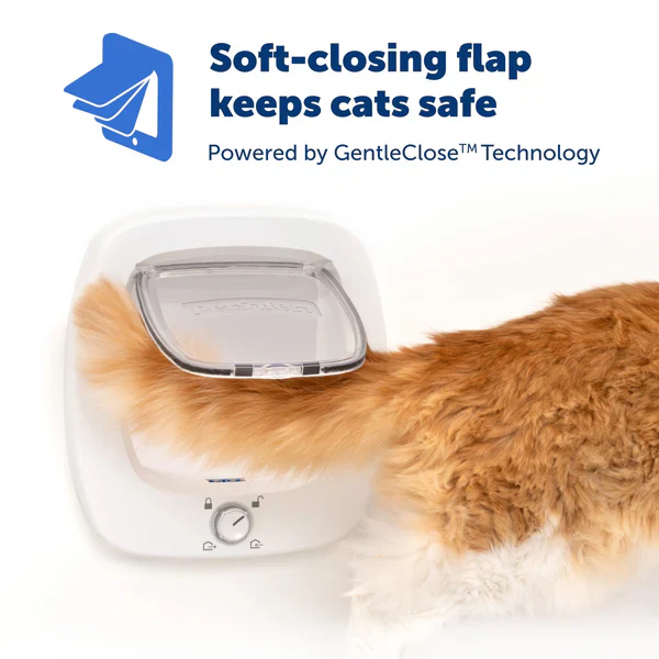Petsafe Staywell Big Cat/Small Dog Pet Door – White - Image 4