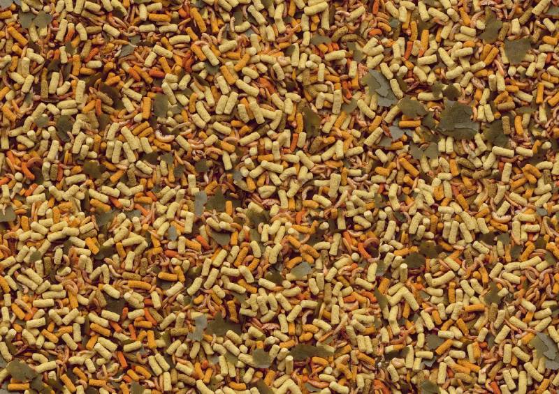 Tetra Pond Goldfish Mix 4L - Image 2