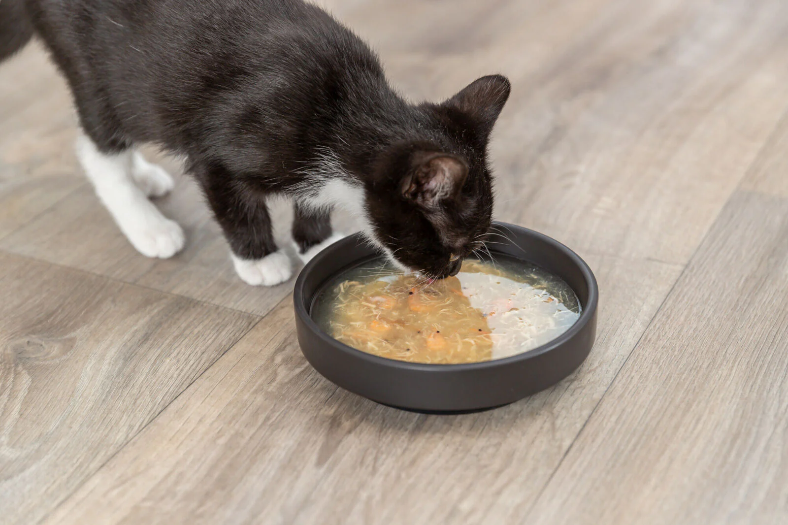 Trixie Cat Soup - Image 4