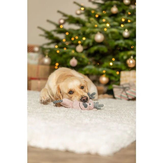 Trixie Christmas Reindeer Rope Plush Dog Toy - Image 3